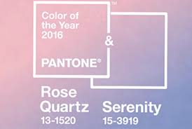 rose serenity