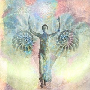 nautilus-shell-photo-basedstock-illustration