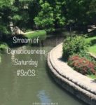 socs-badge-2017-18-e1503097084778