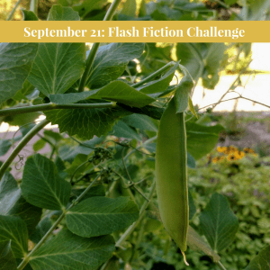 working-template-for-ff-challenges