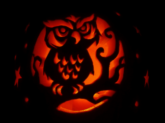 41901-Owl-Jack-O-Lantern