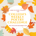 120317_2125_colleenswee10