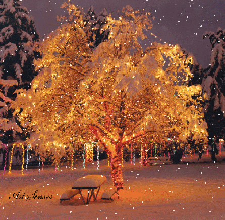 221826-Snow-Falling-Over-Christmas-Tree