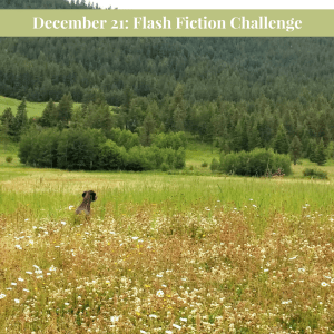 working-template-for-ff-challenges20