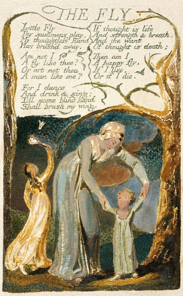 WilliamBlake_TheFly_Yale