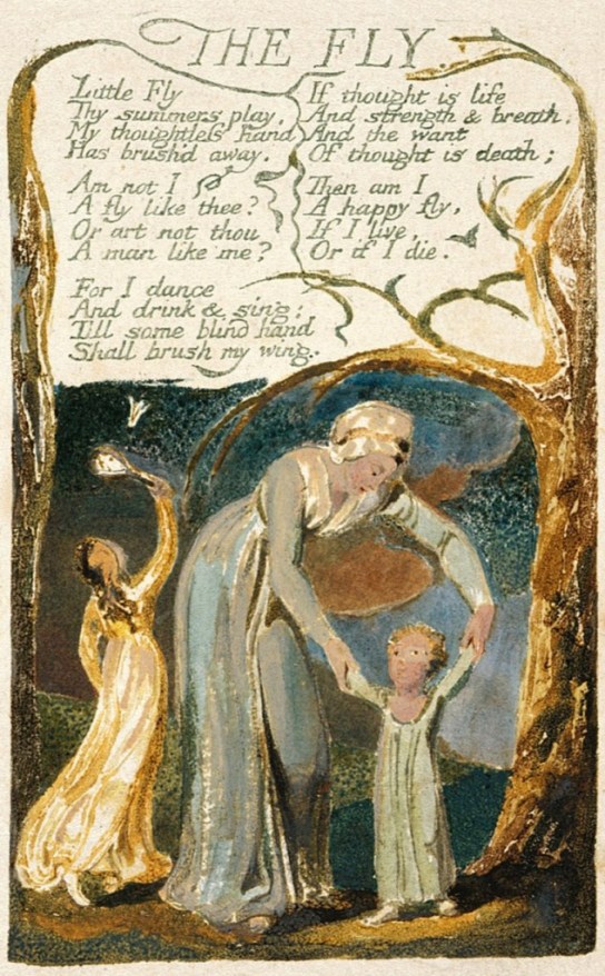 WilliamBlake_TheFly_Yale