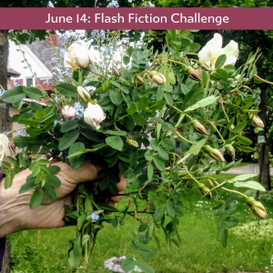 working-template-for-ff-challenges32