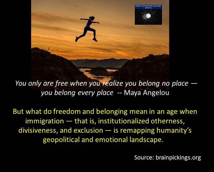 freedom 50