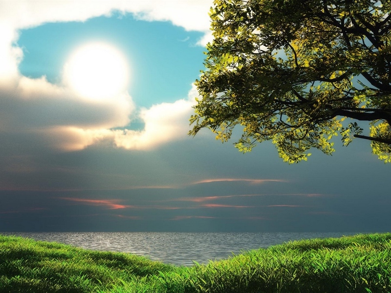 earthsun_tree_cloudy_gleam_coast_55418_800x600