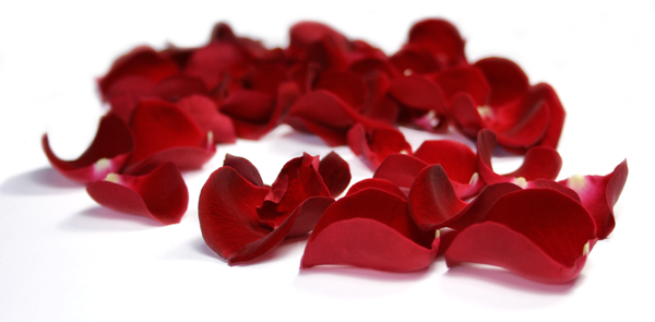 rosepetals