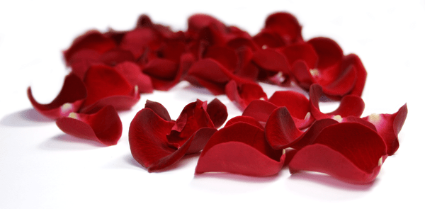 rosepetals