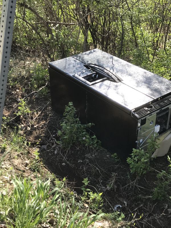 fridge-in-the-woods