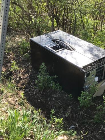 fridge-in-the-woods