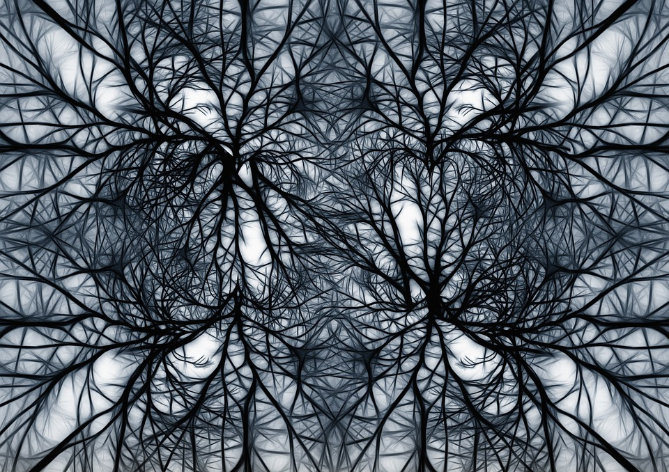 This image has an empty alt attribute; its file name is network-579555_960_720.jpg