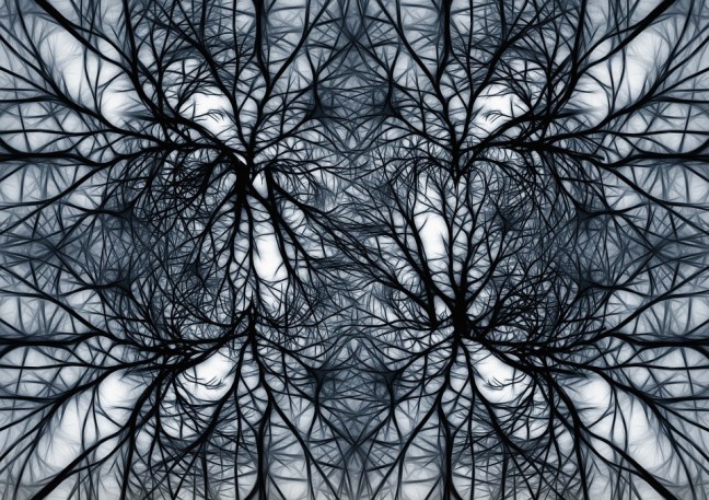 This image has an empty alt attribute; its file name is network-579555_960_720.jpg